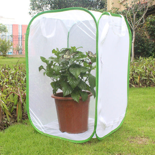 Butterfly Cage Insect-Proof Net Transparent Incubator