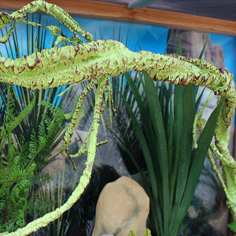 Lizard Chameleon Reptile Box Tropical Rainforest Landscaping Material Simulation Plant Rattan Tree Withered Vine
