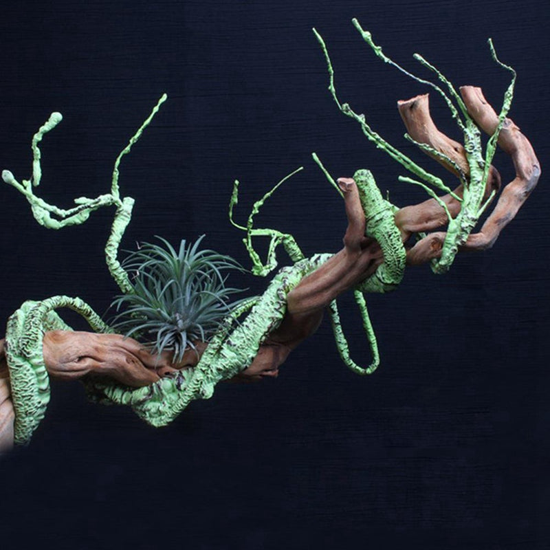 Lizard Chameleon Reptile Box Tropical Rainforest Landscaping Material Simulation Plant Rattan Tree Withered Vine