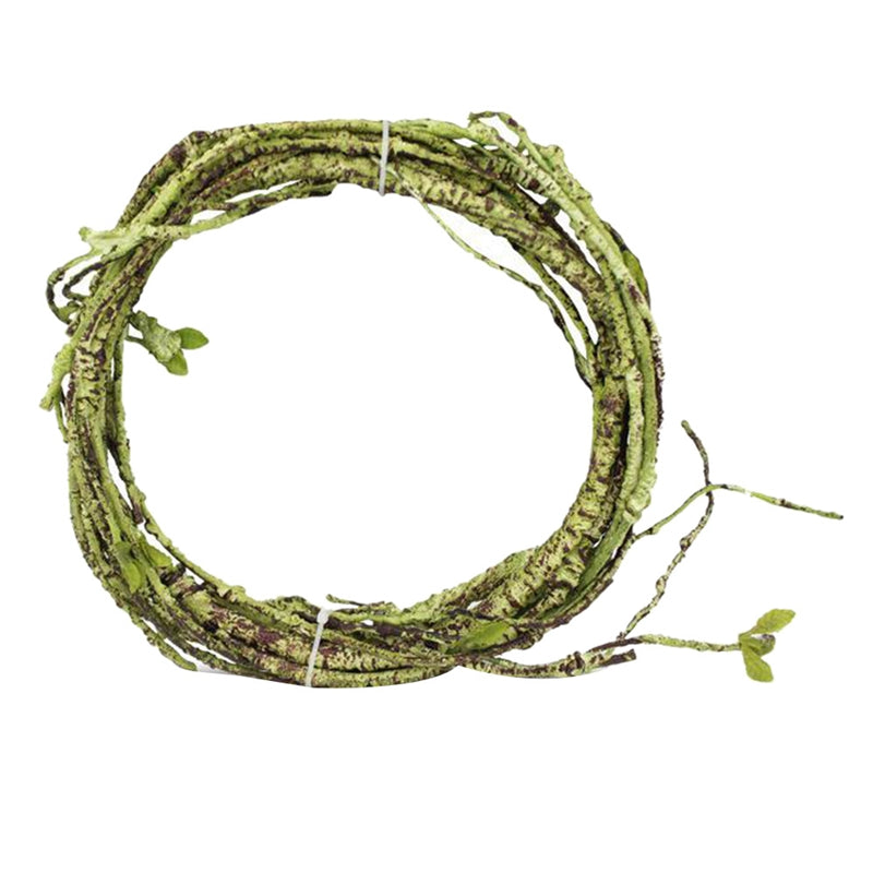 Lizard Chameleon Reptile Box Tropical Rainforest Landscaping Material Simulation Plant Rattan Tree Withered Vine