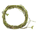 Lizard Chameleon Reptile Box Tropical Rainforest Landscaping Material Simulation Plant Rattan Tree Withered Vine