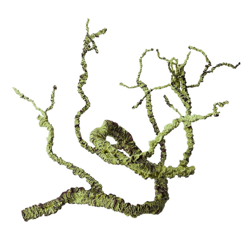 Lizard Chameleon Reptile Box Tropical Rainforest Landscaping Material Simulation Plant Rattan Tree Withered Vine