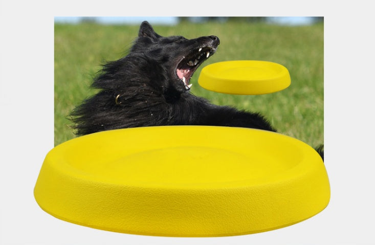 Dogs Throwing Plastic Toy
