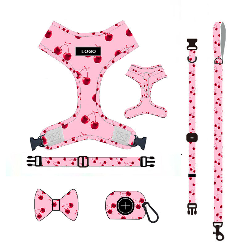 Dog Leash Set