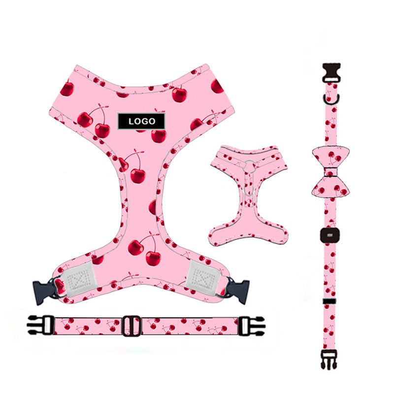 Dog Leash Set