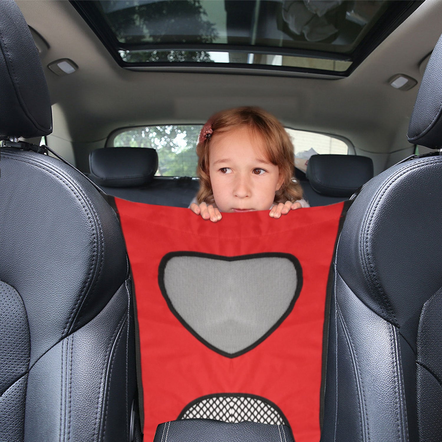 Back Seat Pet Guardrail for car