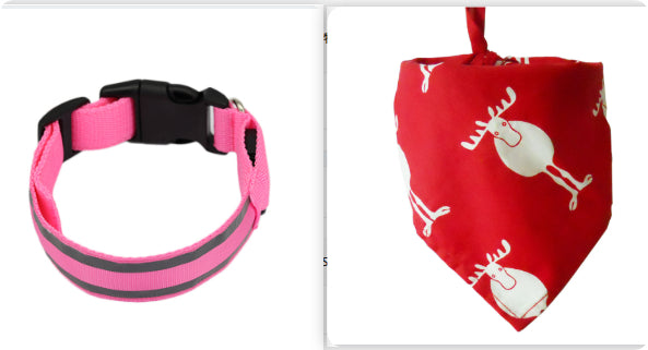 Anti-Lost Led Luminous Dog Collar