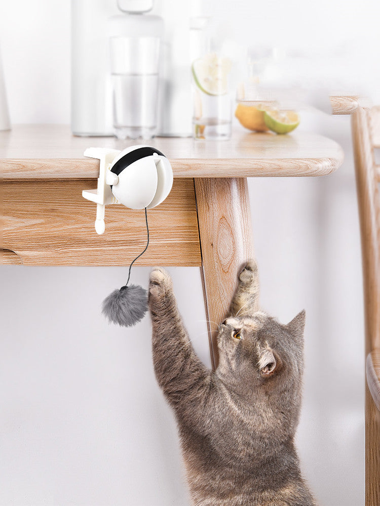 Smart Pet Cat Teaser Ball Pet Lifting Toy