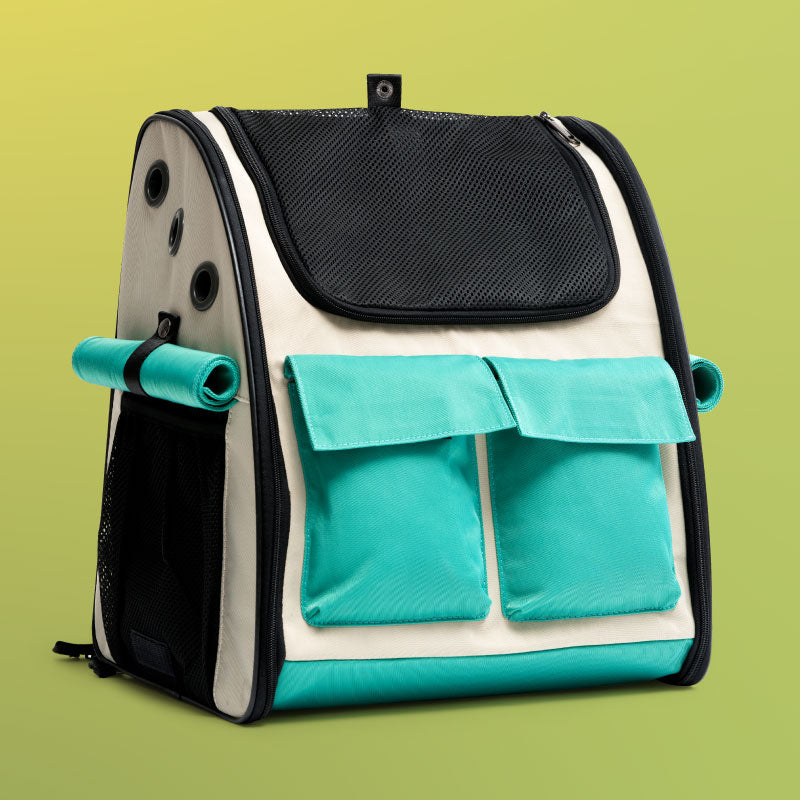 Takeaway Cat Outdoor Bag