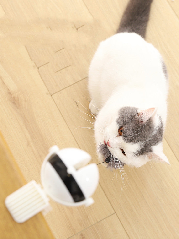 Smart Pet Cat Teaser Ball Pet Lifting Toy