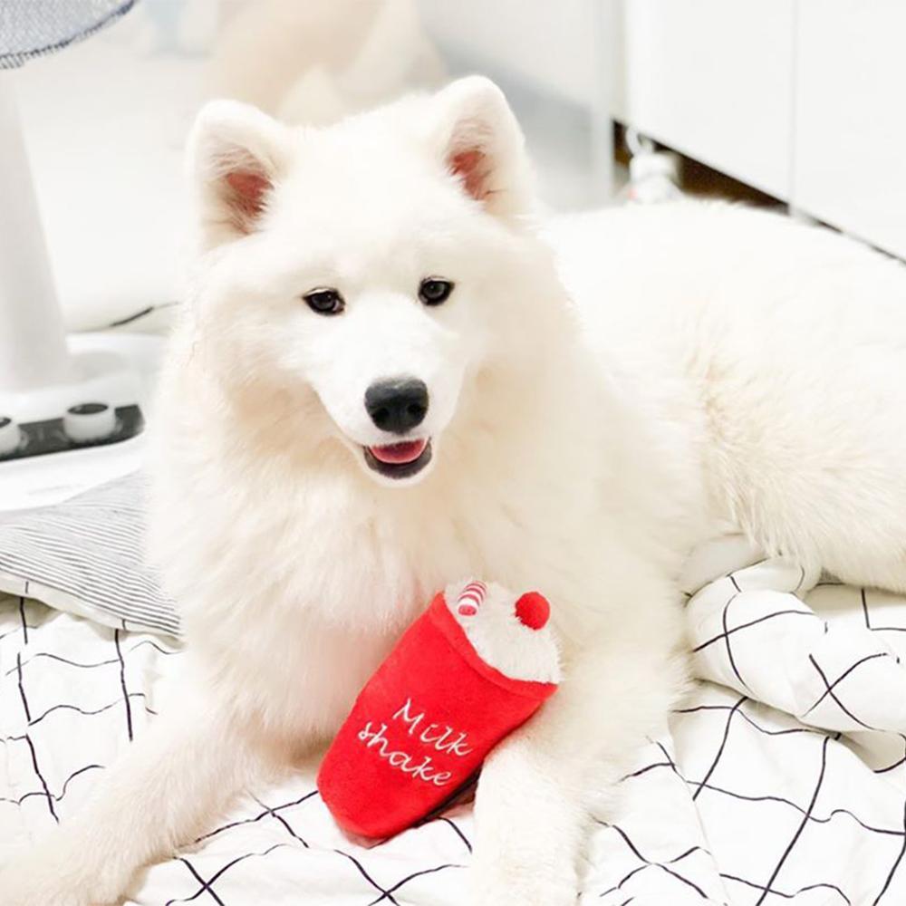 Dog plush toys