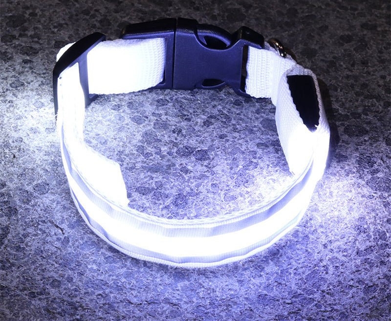 Anti-Lost Led Luminous Dog Collar