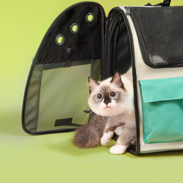 Takeaway Cat Outdoor Bag